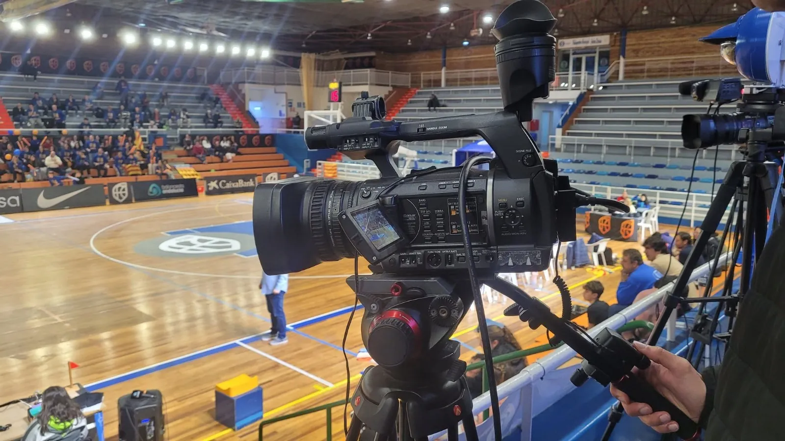 Partido en directo